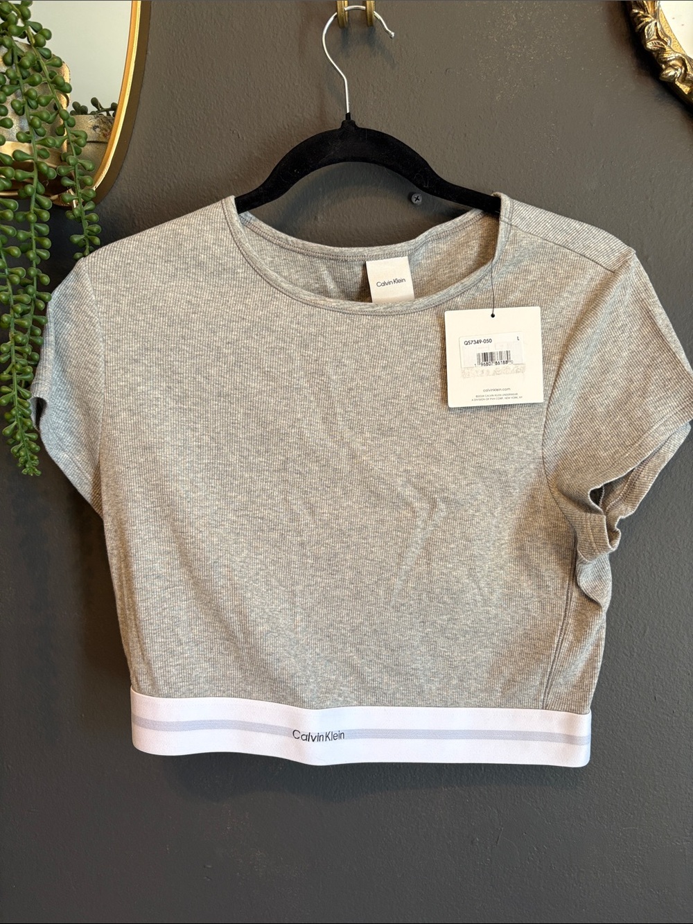 Calvin Klein Heather Gray Ribbed Crop Top with White Branded Band